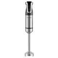 Frullatore a Immersione 800W